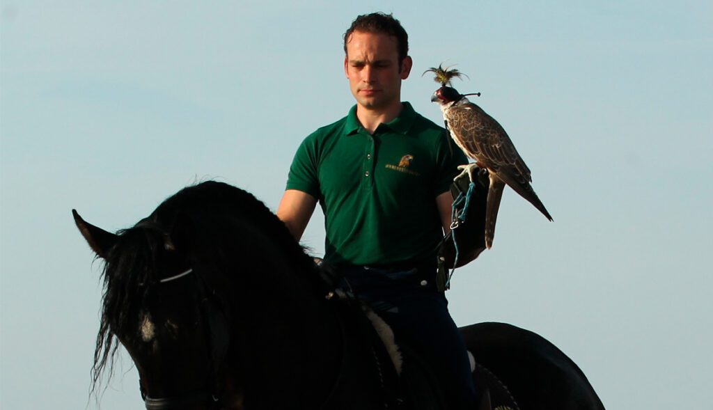 Nordjylland Eagleworld