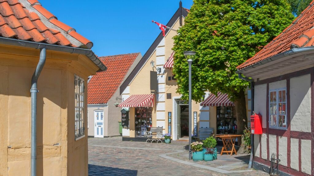 Udlejning af store sommerhuse på Fyn