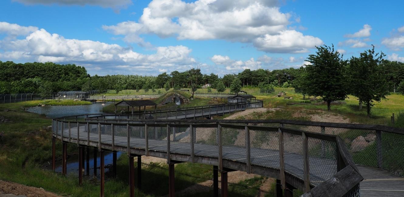 Anlæg til brunbjørnene