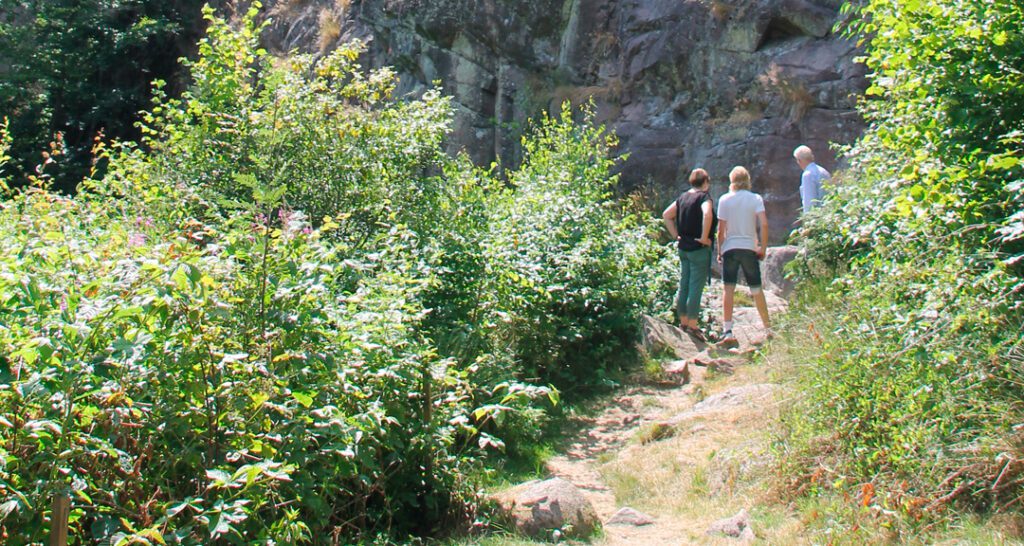 Besöker til Ekkodalen