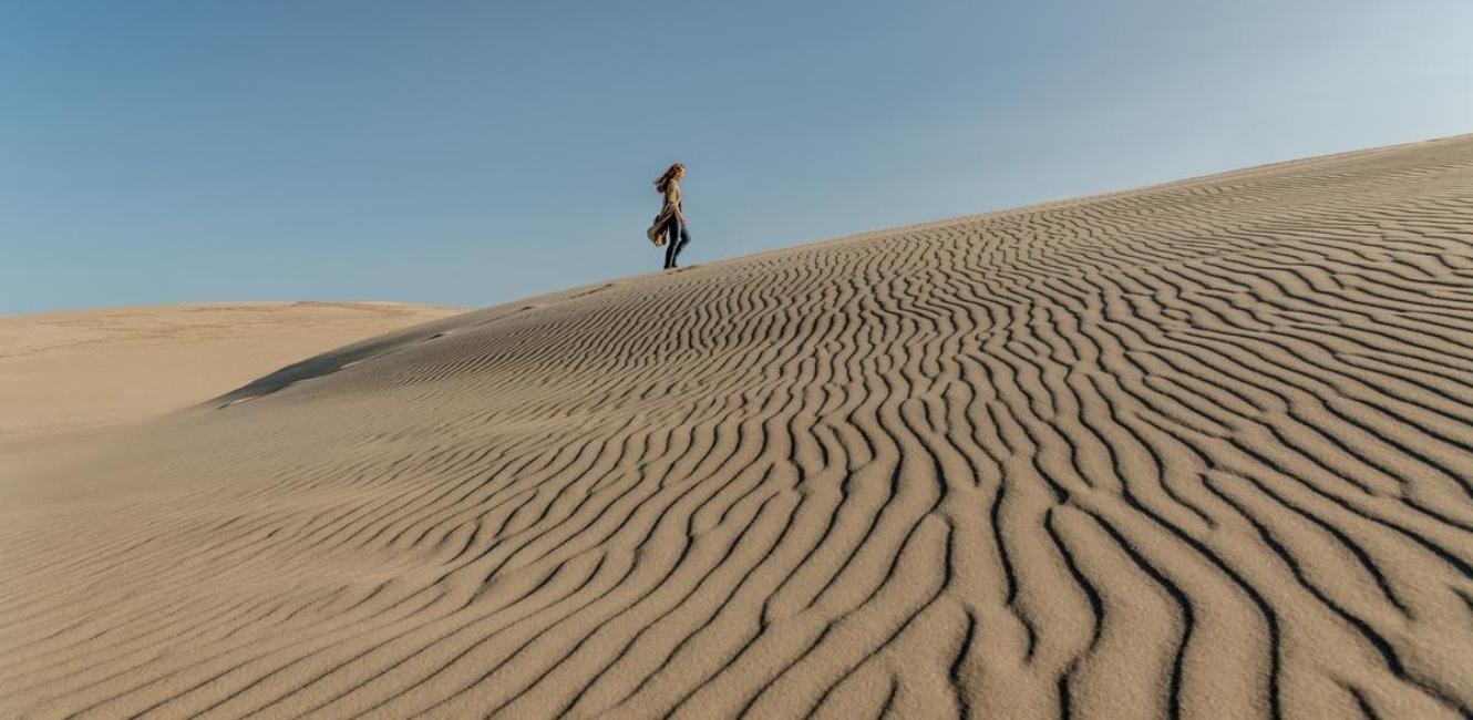 På toppen af Råbjerg Mile