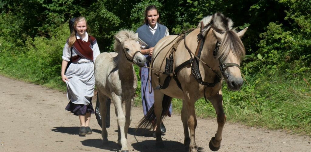 Upplevelser för familjen på Hjerl Hede