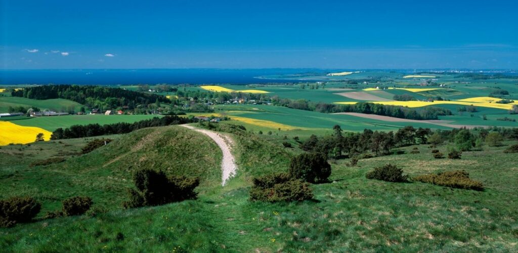 Naturen over mols bjerge