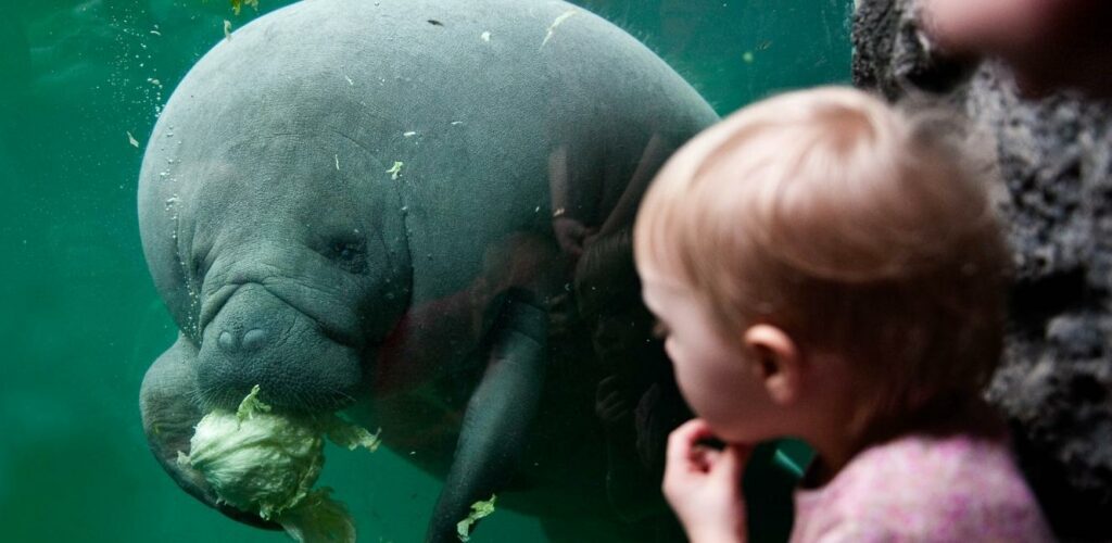 Søko i Randers Regnskov