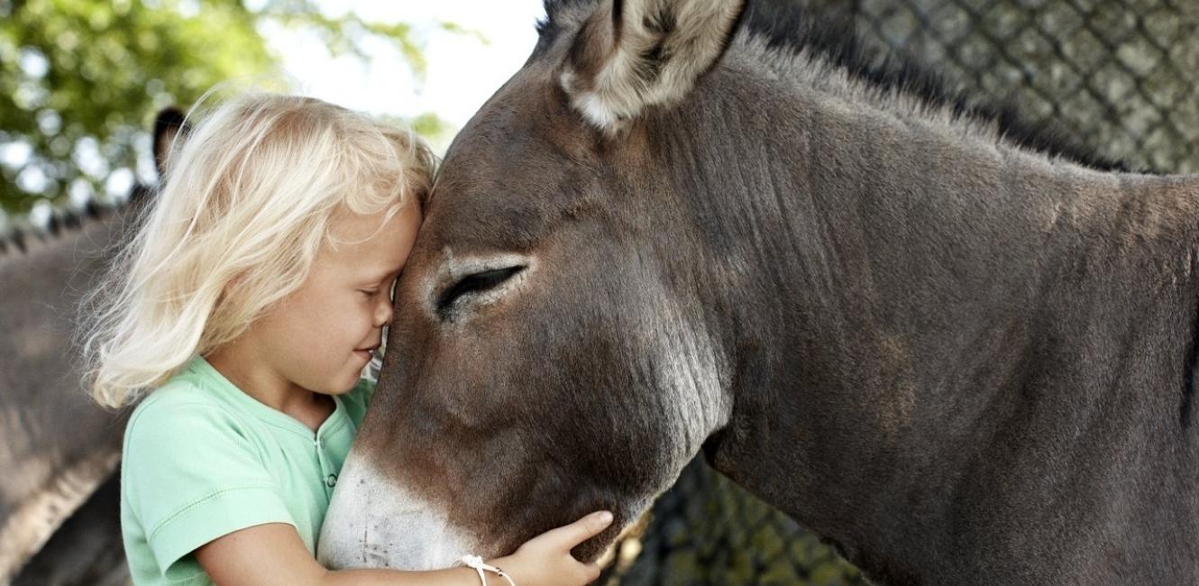 Barnens upplevelser i Knuthenborg Safaripark