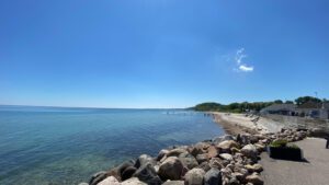 Mommark i Sydjylland