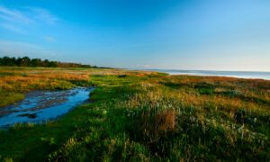 Djursland