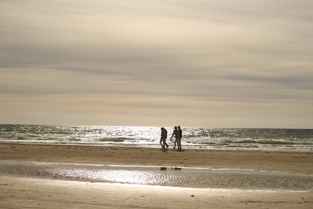 Stranden vid Vedersø Klit i Västjylland