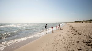 Falster Strand